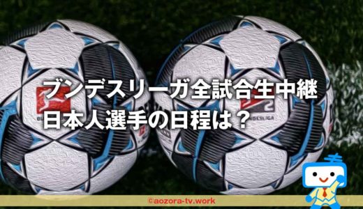 スカパーはブンデスリーガ全試合生中継って本当？日本人選手の日程は？料金や詳細も知りたい！