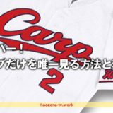 スカパー！カープだけを唯一見る方法と料金！広島戦を最安値のチャンネル組み合わせ徹底調査
