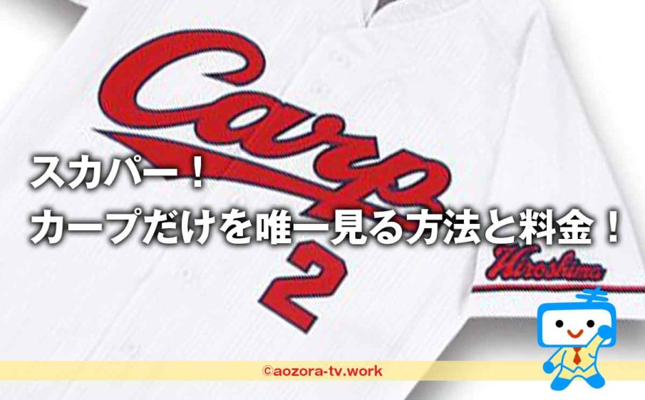 スカパー！カープだけを唯一見る方法と料金！広島戦を最安値のチャンネル組み合わせ徹底調査