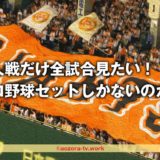 巨人戦だけ全試合見たい
