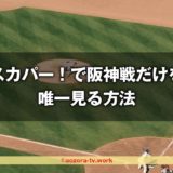 スカパー！阪神戦だけを唯一見る方法！