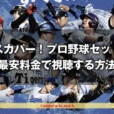 スカパー！プロ野球セット割引の詳細！最安料金で視聴する方法！加入のメリットと高いのかコスパを調査