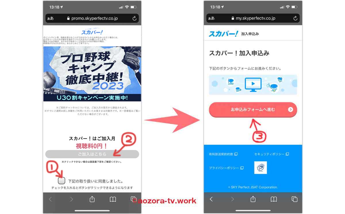 プロ野球セット加入の流れ