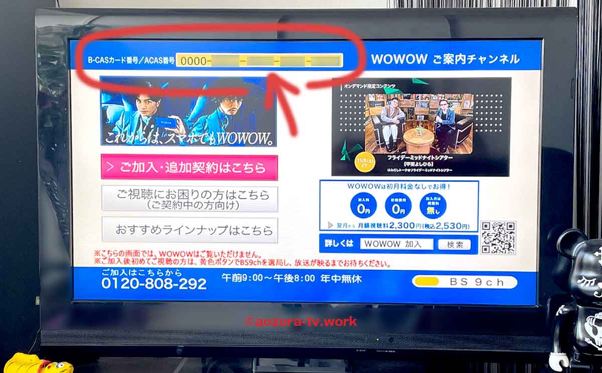 B-CAS番号確認方法