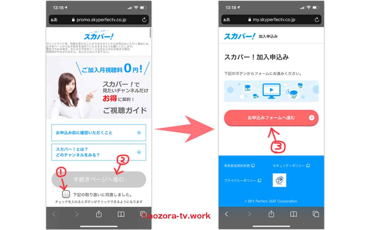 スカパー公式キャンペーンページから契約流れ