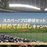 プロ野球セットU30割引の条件と必要なものを確認！年齢確認の方法を解説！