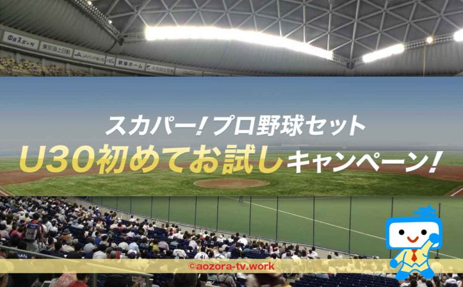 プロ野球セットU30割引の条件と必要なものを確認！年齢確認の方法を解説！