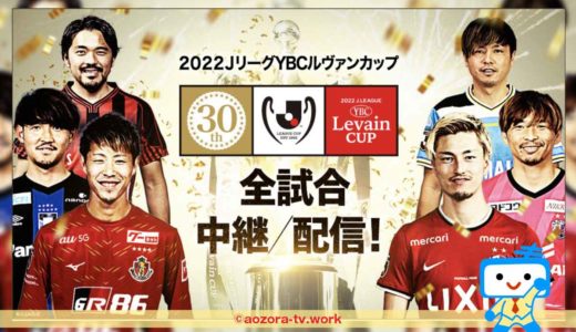 YBCルヴァンカップだけスカパーで見る方法！料金の安いチャンネル組み合わせと視聴方法を調査