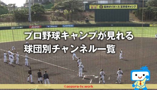 プロ野球キャンプを安く見る方法！どこで見れる？球団別の放送チャンネルと視聴方法！巨人・阪神・全12球団春季キャンプ