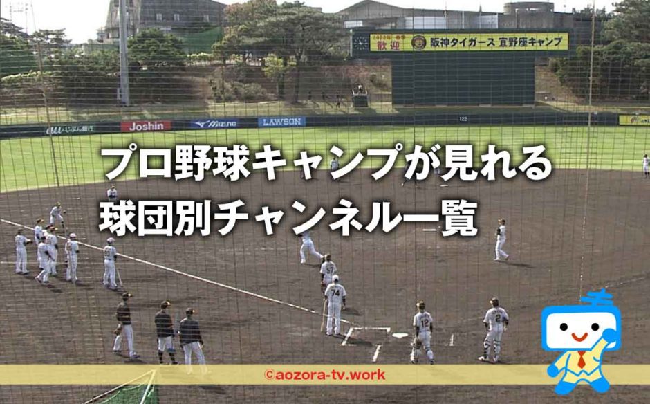 プロ野球キャンプ2023どこで見れる？視聴方法と球団別放送チャンネル一覧！巨人・阪神・全12球団春季キャンプの詳細