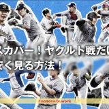 スカパー！ヤクルト戦だけ安く見る方法！最安値のチャンネル組み合わせを徹底調査
