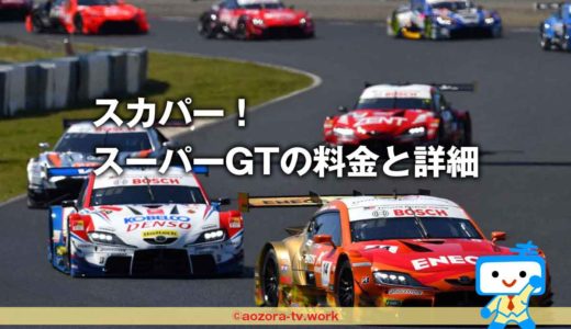 スーパーGTの放送を見るには？視聴方法と料金の詳細！テレビ放送はスカパー！J SPORTSならSUPER GT全8戦放送中