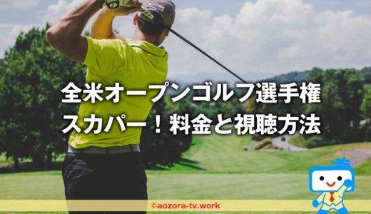 スカパー！2024全米オープンゴルフの料金とテレビ放送！ゴルフネットワークはスカパー経由が安くて簡単！