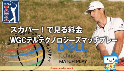 WGCデルテクノロジーズマッチプレーを見る料金とスカパー！ゴルフネットワークの放送予定！テレビ視聴ならスカパーが安くて簡単！