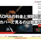 スカパー！GAORA料金の詳細！初めの費用なしで気軽に加入・契約できるよ！GAORAをテレビとスマホで見る流れを解説