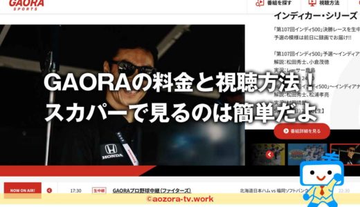 スカパー！GAORA料金の詳細！初めの費用なしで気軽に加入・契約できるよ！GAORAをテレビとスマホで見る流れを解説