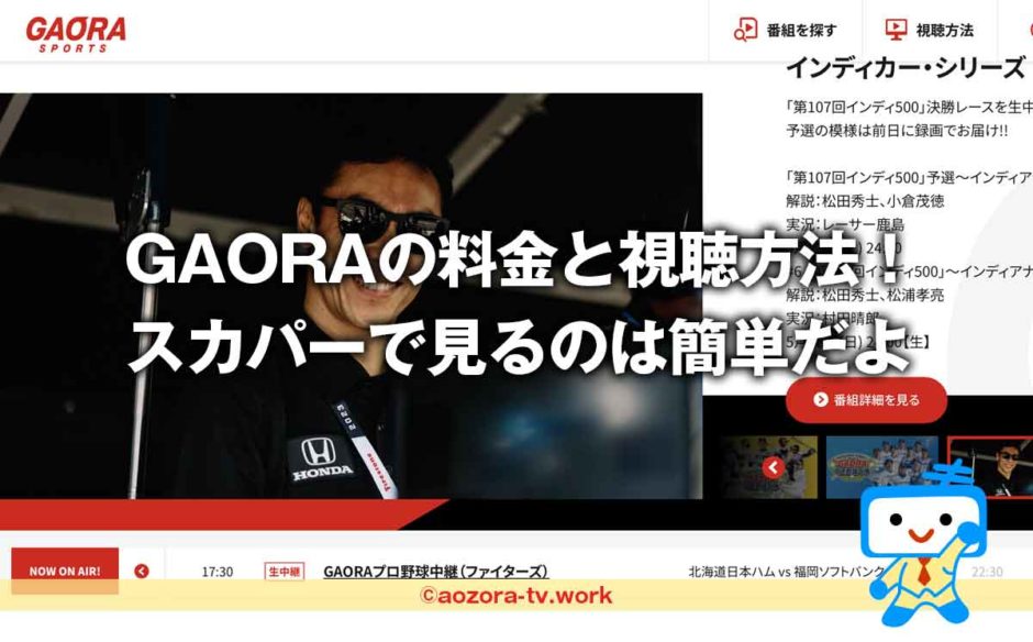 スカパー！GAORA料金の詳細！初めの費用なしで気軽に加入・契約できるよ！GAORAをテレビとスマホで見る流れを解説