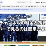TBSチャンネル料金と視聴方法！スカパー加入から見るまでの流れは簡単！テレビ・録画・スマホ視聴もできるよ