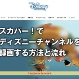 スカパー!ディズニーチャンネルは録画できる?録画の料金と注意点、解約後も録画は見れるのか調査!