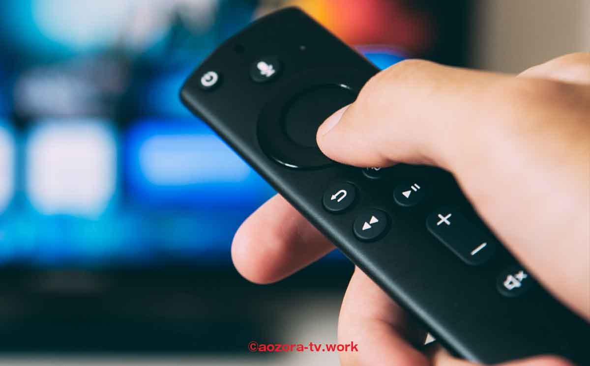 Fire TVでスカパー配信番組が見れる