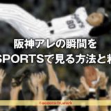 15日VをJ SPORTSで見る料金の詳細!阪神戦テレビ視聴後の解約方法は?