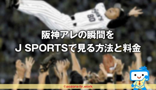 15日VをJ SPORTSで見る料金の詳細！阪神戦テレビ視聴後の解約方法は？