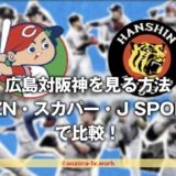 広島対阪神の試合を見る方法は?料金と放送予定をDAZN・スカパー・J SPORTSで比較!