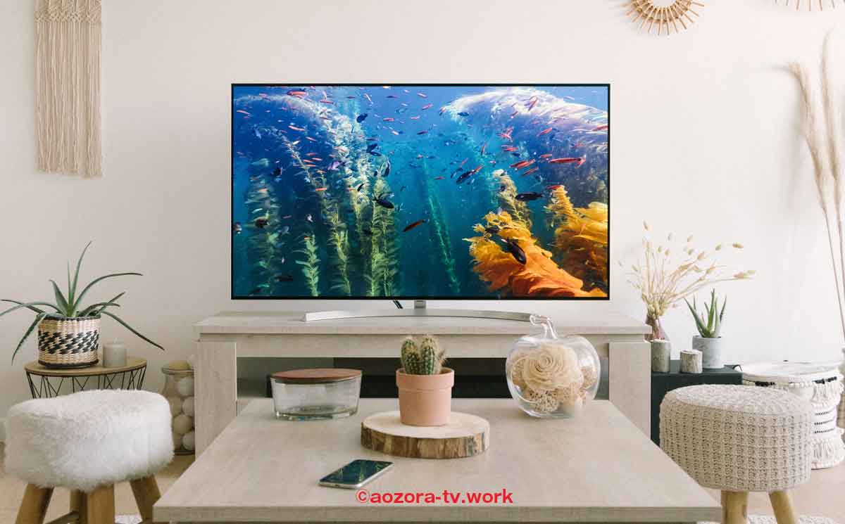 地上波・民放放送が映るテレビ