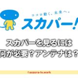 スカパーを見るには？視聴方法の詳細！アンテナなど何が必要か調査
