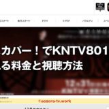 KNTV801の料金と視聴方法は？スカパー加入の流れと録画の注意点！テレビ・スマホ視聴も解説