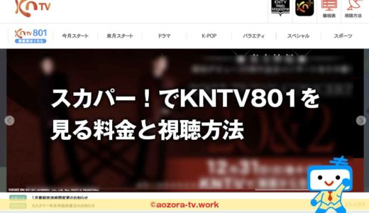 KNTV801の料金と視聴方法は？スカパー加入の流れと録画の注意点！テレビ・スマホ視聴も解説
