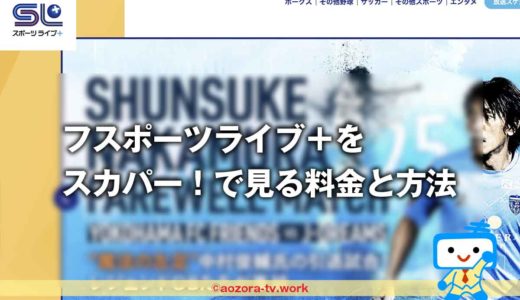 スカパー！スポーツライブの料金の詳細！視聴料方法とテレビ・録画・スマホ視聴の値段も解説！