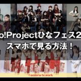 Hello!Projectひなフェス2024をスマホで見る方法！最安料金で見るならスカパーが良いよ！