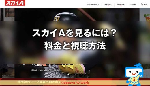 スカイAの料金と視聴方法は？スカパー加入から見るまでの流れとテレビ・録画・スマホ視聴の値段も解説！