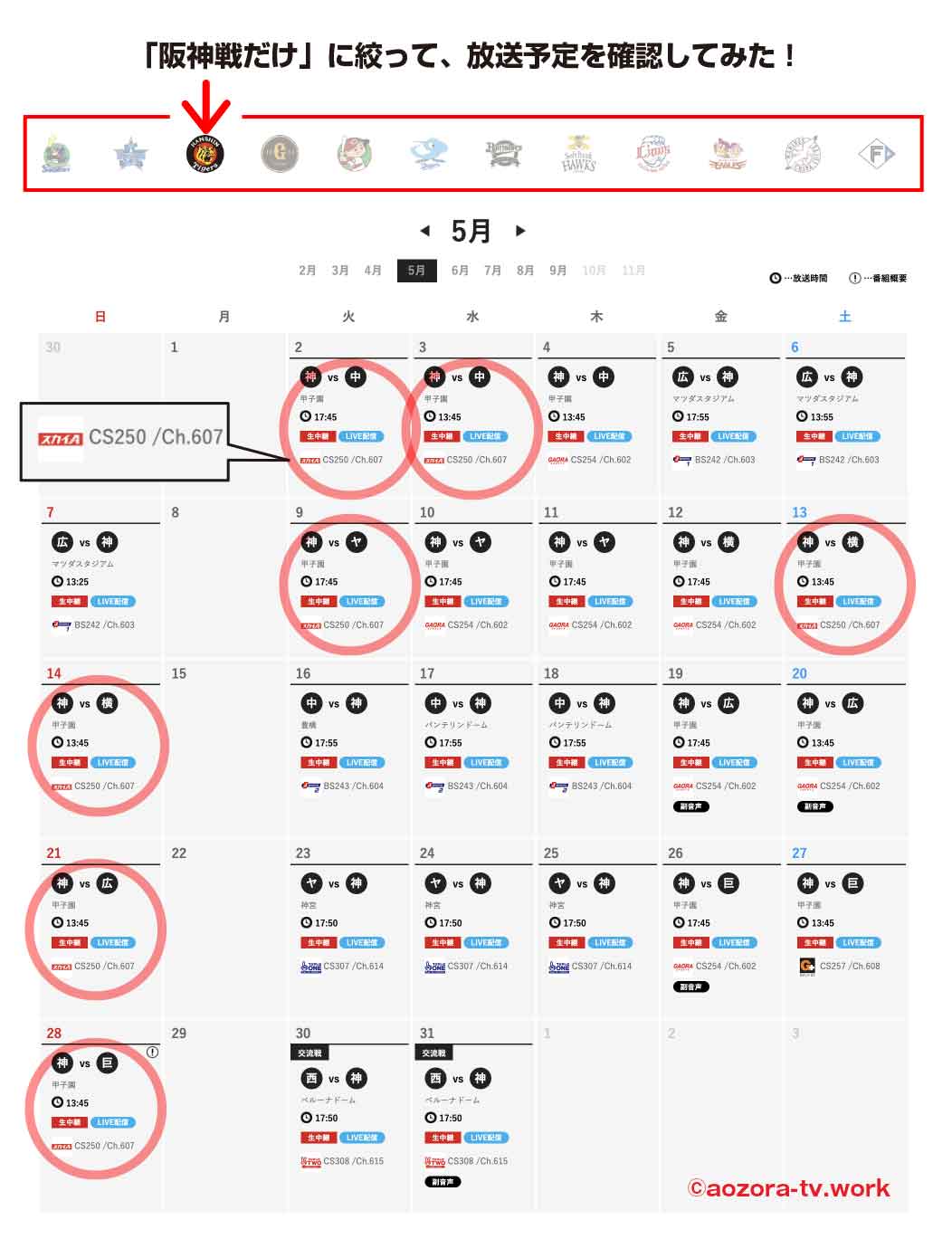 スカイAで阪神が見れる試合数