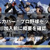 スカパー！プロ野球セットとは？加入前に確認！プロ野球中継とネット中継どっちが見れる？