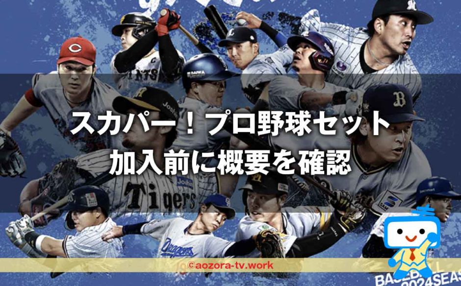 スカパー！プロ野球セットとは？加入前に確認！プロ野球中継とネット中継どっちが見れる？