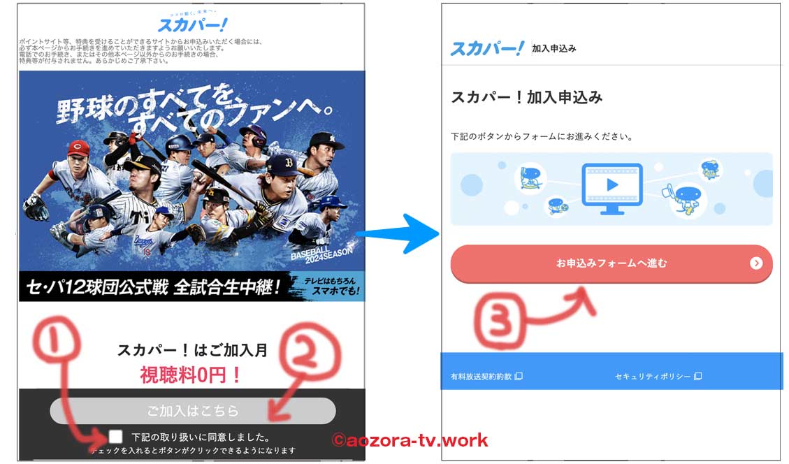 プロ野球セット申込手順