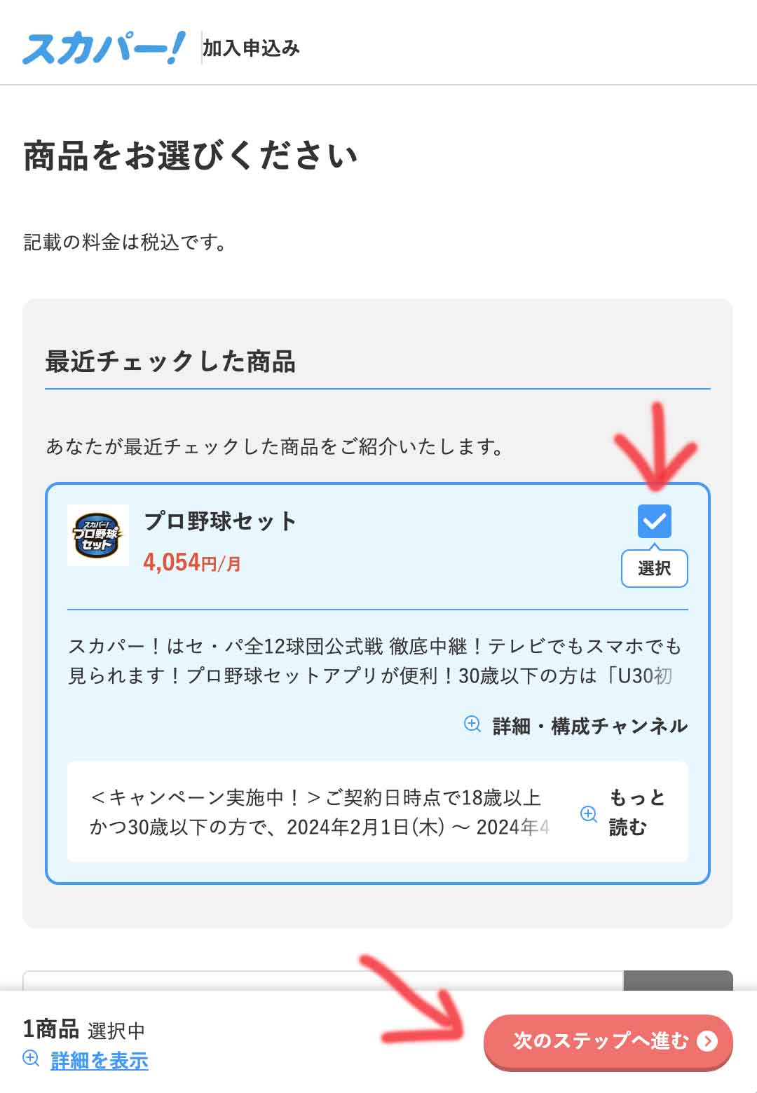 申込はプロ野球セットを選ぶ