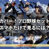 スカパー!プロ野球セットをスマホだけで見るには?携帯のみでの契約方法と料金を確認