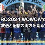 EURO2024の放映権はWOWOWが獲得!テレビ放送と配信視聴の方法とUEFA EUROサッカー欧州選手権の放送日程