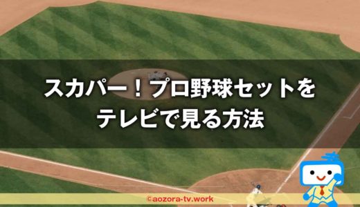 スカパー！プロ野球セットをテレビで見る方法2つ！アプリ配信をTVで視聴・テレビ放送を視聴する方法の２パターンを解説
