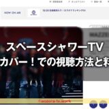 スペースシャワーＴＶ視聴方法と料金は？スカパー加入から見るまでの流れとテレビ・録画・スマホ視聴の値段も解説！