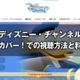 ディズニー・チャンネル視聴方法と料金は？スカパー加入から見るまでの流れとテレビ・録画・スマホ視聴の値段も解説！