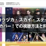 タカラヅカ・スカイ・ステージ視聴方法と料金は？スカパー加入から見るまでの流れとテレビでの視聴の値段も解説！