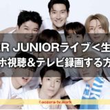SUPER JUNIORライブ＜韓国から生中継＞スマホ視聴＆テレビ録画する方法！最安料金で見る流れを解説